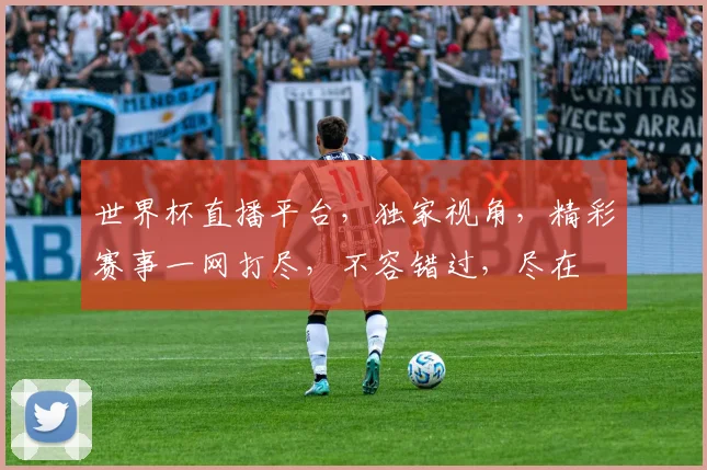 世界杯直播平台，独家视角，精彩赛事一网打尽，不容错过，尽在