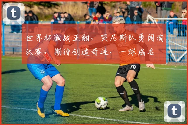 世界杯激战正酣，突尼斯队勇闯淘汰赛，期待创造奇迹，一球成名