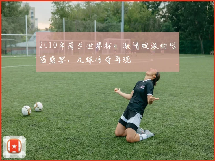 2010年荷兰世界杯，激情绽放的绿茵盛宴，足球传奇再现