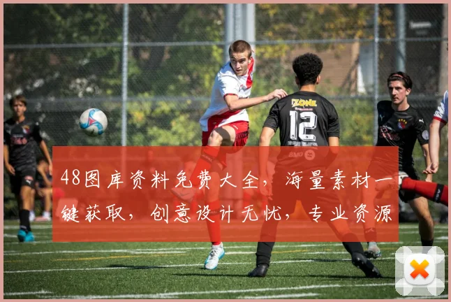 48图库资料免费大全，海量素材一键获取，创意设计无忧，专业资源库大放送