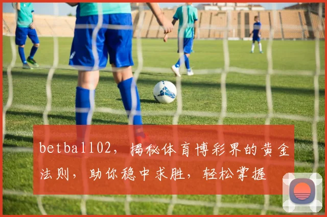 betball02，揭秘体育博彩界的黄金法则，助你稳中求胜，轻松掌握