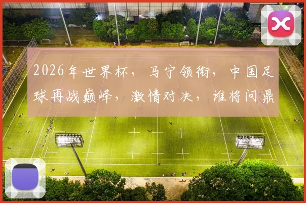 2026年世界杯，马宁领衔，中国足球再战巅峰，激情对决，谁将问鼎冠军
