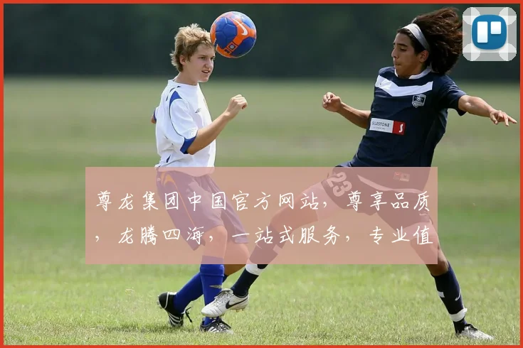 尊龙集团中国官方网站，尊享品质，龙腾四海，一站式服务，专业值得信赖，尽在尊龙官网。