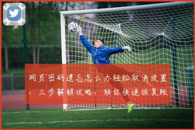 网页密码遗忘怎么办轻松取消设置，三步解锁攻略，助你快速恢复账号安全，一网打尽