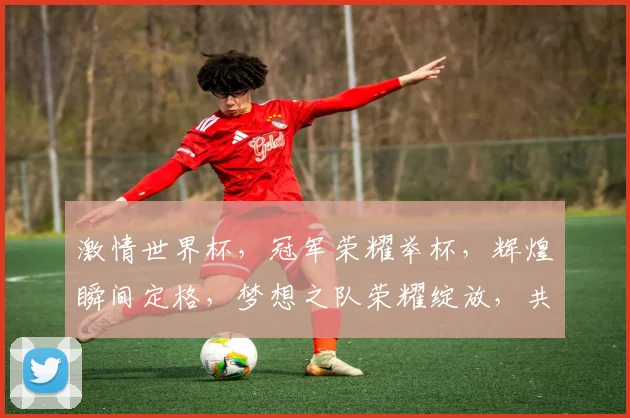 激情世界杯，冠军荣耀举杯，辉煌瞬间定格，梦想之队荣耀绽放，共庆辉煌时刻