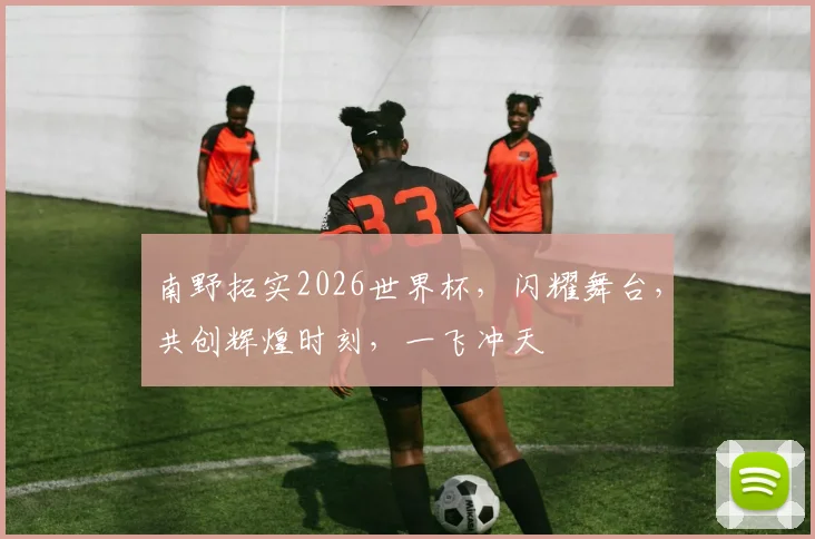 南野拓实2026世界杯，闪耀舞台，共创辉煌时刻，一飞冲天